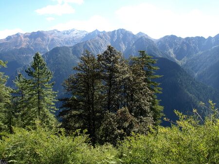 Great Himalayan National Park3.jpg