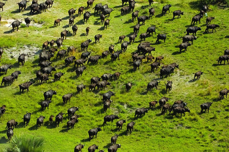File:Okavango Delta.jpg