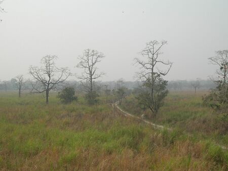 Manas5.jpg
