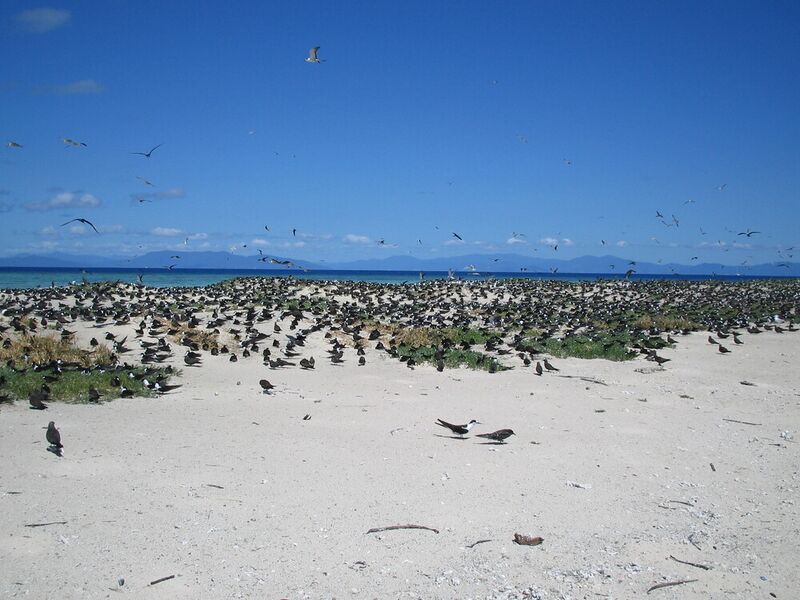 File:Great Barrier Reef.jpg