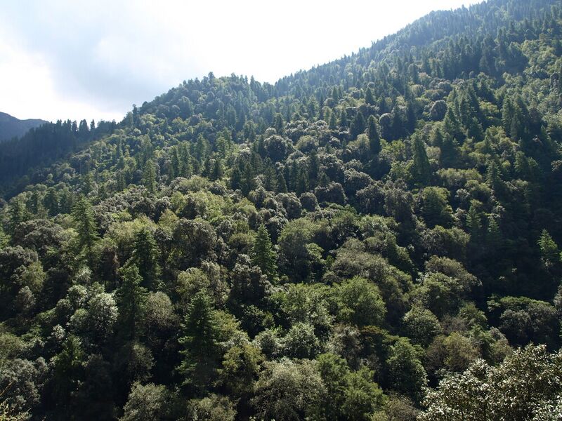 File:Great Himalayan National Park4.jpg
