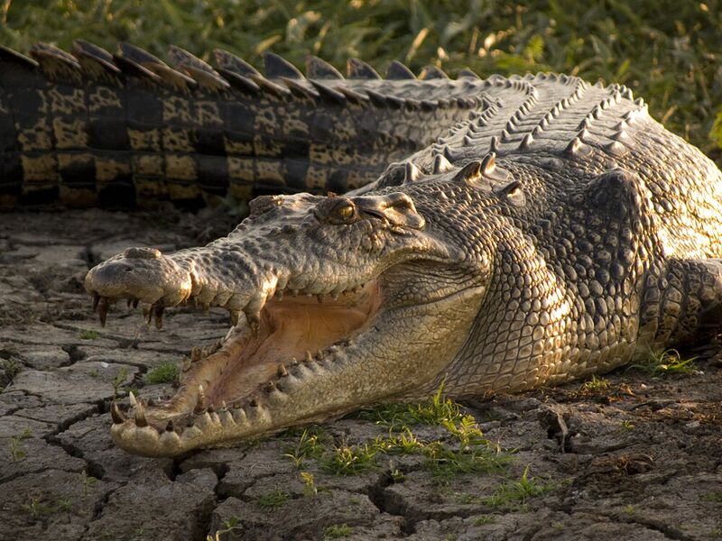 File:Kakadu National Park1.jpg